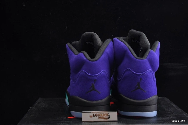 Rep TBkick Air Jordan Alternate Retro 136027-500 5 Grape 0806